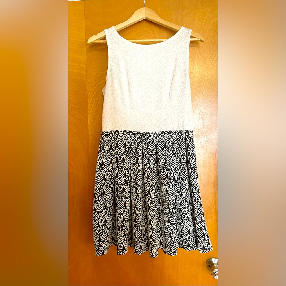 Black & White Skater Dress